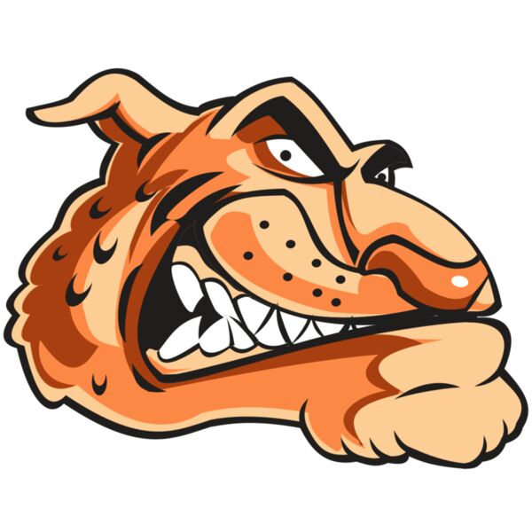 CHEETAH HD0503 RQC Thumbnail