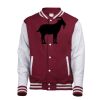 Varsity jacket Thumbnail