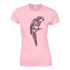 Softstyle™ women's ringspun t-shirt Thumbnail