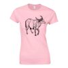 Softstyle™ women's ringspun t-shirt Thumbnail